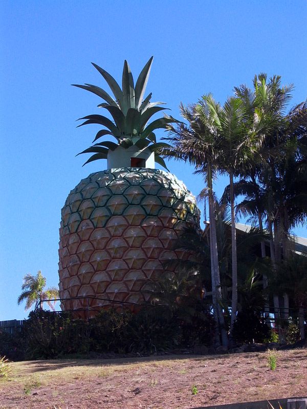 Dziwny kształt domu - ananas